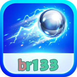 br133