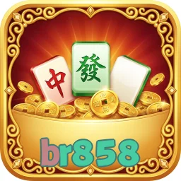 br858
